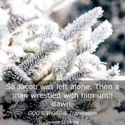 Picture 03 - Genesis 32:24 GW - So Jacob was left alone. Then a man wrestled with - Bible Verse Picture
