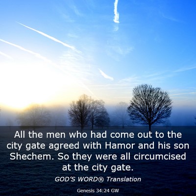 Picture 03 - Genesis 34:24 GW - All the men who had come out to the city gate - Bible Verse Picture