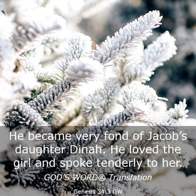 Picture 03 - Genesis 34:3 GW - He became very fond of Jacob’s daughter Dinah. - Bible Verse Picture