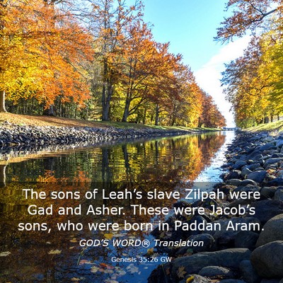 Picture 03 - Genesis 35:26 GW - The sons of Leah’s slave Zilpah were Gad and - Bible Verse Picture