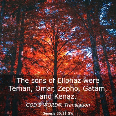 Picture 03 - Genesis 36:11 GW - The sons of Eliphaz were Teman, Omar, Zepho, - Bible Verse Picture