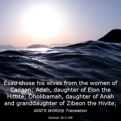 Picture 03 - Genesis 36:2 GW - Esau chose his wives from the women of Canaan: - Bible Verse Picture