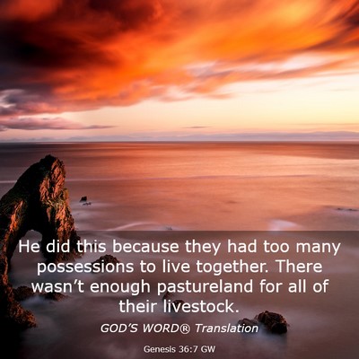 Picture 03 - Genesis 36:7 GW - He did this because they had too many possessions - Bible Verse Picture