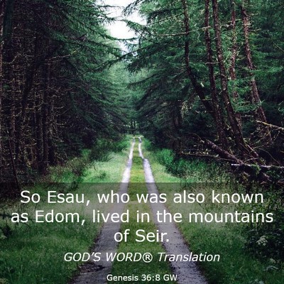 Picture 03 - Genesis 36:8 GW - So Esau, who was also known as Edom, lived in the - Bible Verse Picture