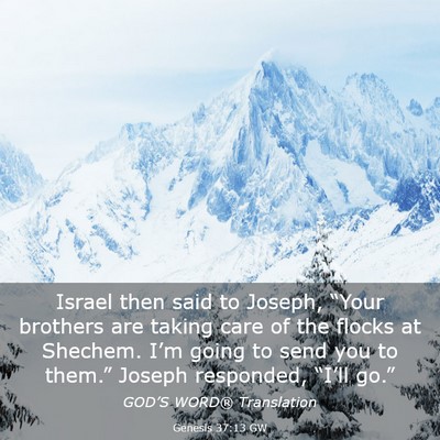 Picture 03 - Genesis 37:13 GW - Israel then said to Joseph, “Your brothers are - Bible Verse Picture