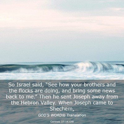 Picture 03 - Genesis 37:14 GW - So Israel said, “See how your brothers and the - Bible Verse Picture