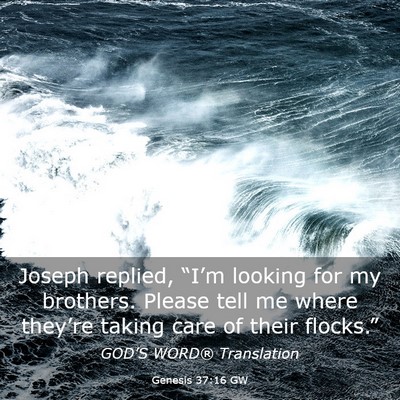 Picture 03 - Genesis 37:16 GW - Joseph replied, “I’m looking for my brothers. - Bible Verse Picture