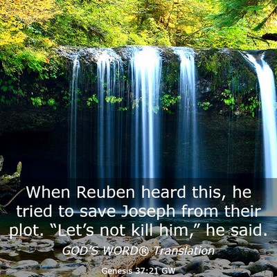 Picture 03 - Genesis 37:21 GW - When Reuben heard this, he tried to save Joseph - Bible Verse Picture