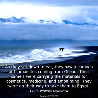 Picture 03 - Genesis 37:25 GW - As they sat down to eat, they saw a caravan of - Bible Verse Picture