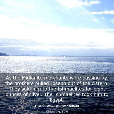Picture 03 - Genesis 37:28 GW - As the Midianite merchants were passing by, the - Bible Verse Picture