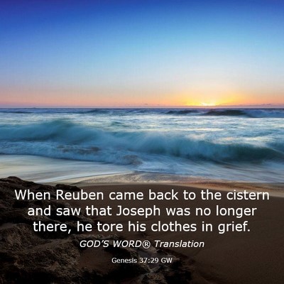 Picture 03 - Genesis 37:29 GW - When Reuben came back to the cistern and saw that - Bible Verse Picture