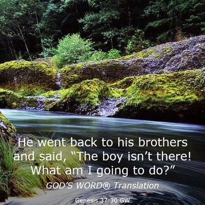 Picture 03 - Genesis 37:30 GW - He went back to his brothers and said, “The boy - Bible Verse Picture