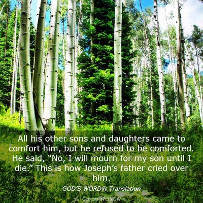 Picture 03 - Genesis 37:35 GW - All his other sons and daughters came to comfort - Bible Verse Picture