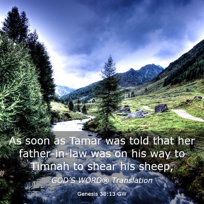 Picture 03 - Genesis 38:13 GW - As soon as Tamar was told that her father-in-law - Bible Verse Picture
