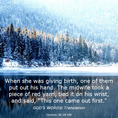 Picture 03 - Genesis 38:28 GW - When she was giving birth, one of them put out - Bible Verse Picture