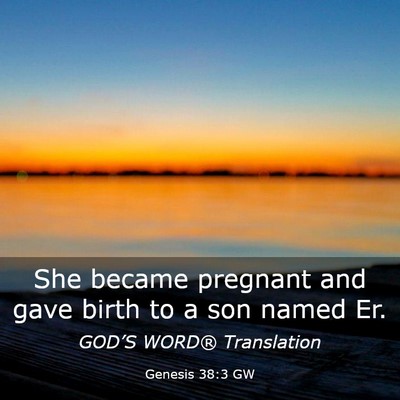 Picture 03 - Genesis 38:3 GW - She became pregnant and gave birth to a son named - Bible Verse Picture