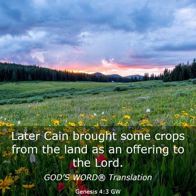 Picture 03 - Genesis 4:3 GW - Later Cain brought some crops from the land as an - Bible Verse Picture
