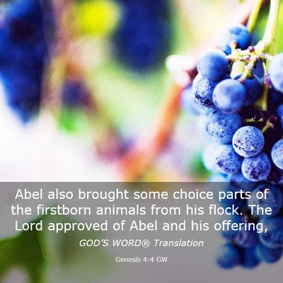 Picture 03 - Genesis 4:4 GW - Abel also brought some choice parts of the - Bible Verse Picture