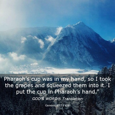 Picture 03 - Genesis 40:11 GW - Pharaoh’s cup was in my hand, so I took the - Bible Verse Picture