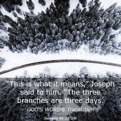 Picture 03 - Genesis 40:12 GW - “This is what it means,” Joseph said to him. - Bible Verse Picture