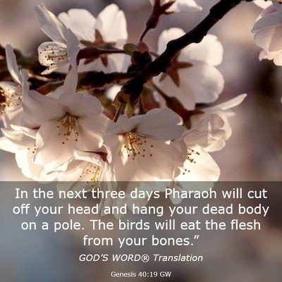 Picture 03 - Genesis 40:19 GW - In the next three days Pharaoh will cut off your - Bible Verse Picture