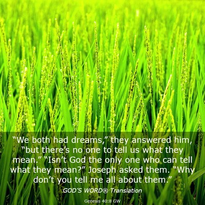 Picture 03 - Genesis 40:8 GW - “We both had dreams,” they answered him, - Bible Verse Picture