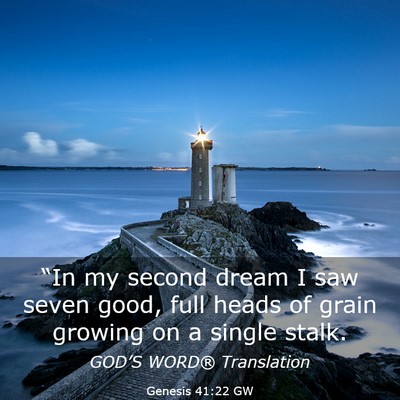 Picture 03 - Genesis 41:22 GW - “In my second dream I saw seven good, full - Bible Verse Picture