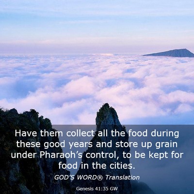 Picture 03 - Genesis 41:35 GW - Have them collect all the food during these good - Bible Verse Picture