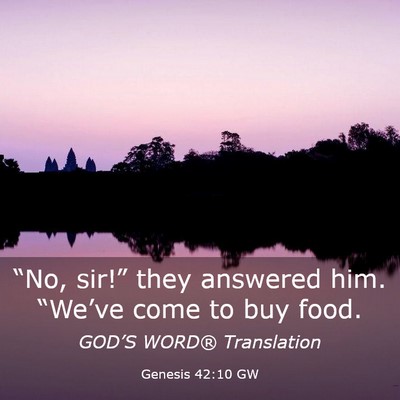 Picture 03 - Genesis 42:10 GW - “No, sir!” they answered him. “We’ve come - Bible Verse Picture