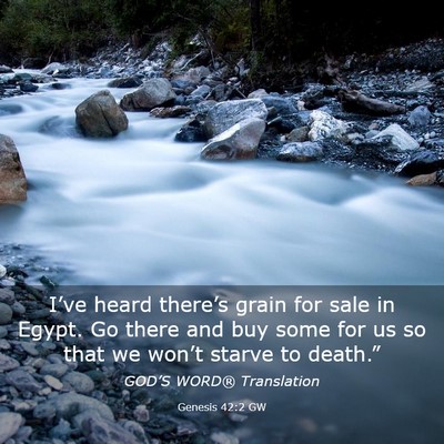 Picture 03 - Genesis 42:2 GW - I’ve heard there’s grain for sale in Egypt. - Bible Verse Picture