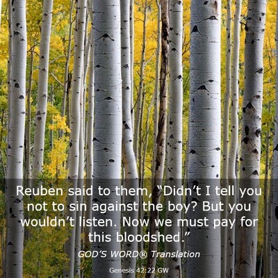 Picture 03 - Genesis 42:22 GW - Reuben said to them, “Didn’t I tell you not - Bible Verse Picture