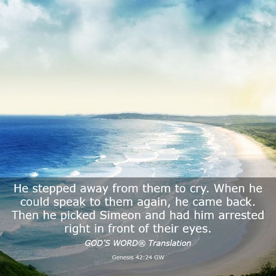 Picture 03 - Genesis 42:24 GW - He stepped away from them to cry. When he could - Bible Verse Picture