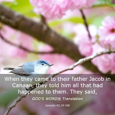 Picture 03 - Genesis 42:29 GW - When they came to their father Jacob in Canaan, - Bible Verse Picture