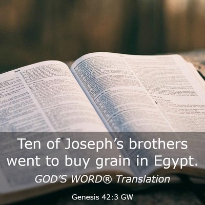Picture 03 - Genesis 42:3 GW - Ten of Joseph’s brothers went to buy grain in - Bible Verse Picture