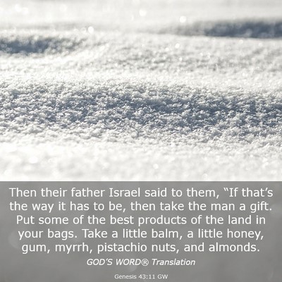 Picture 03 - Genesis 43:11 GW - Then their father Israel said to them, “If - Bible Verse Picture