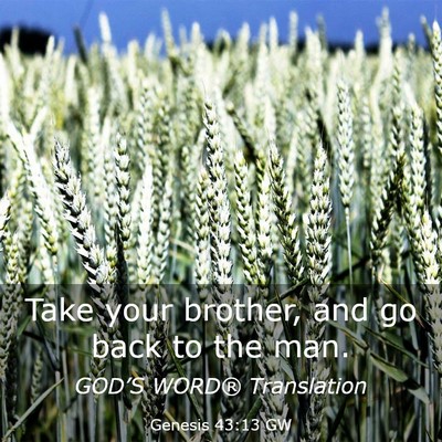 Picture 03 - Genesis 43:13 GW - Take your brother, and go back to the - Bible Verse Picture