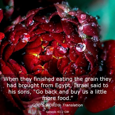 Picture 03 - Genesis 43:2 GW - When they finished eating the grain they had - Bible Verse Picture