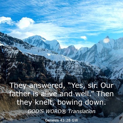 Picture 03 - Genesis 43:28 GW - They answered, “Yes, sir. Our father is alive - Bible Verse Picture