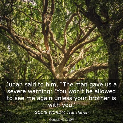 Picture 03 - Genesis 43:3 GW - Judah said to him, “The man gave us a severe - Bible Verse Picture
