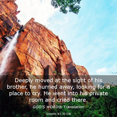 Picture 03 - Genesis 43:30 GW - Deeply moved at the sight of his brother, he - Bible Verse Picture