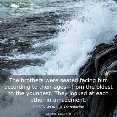 Picture 03 - Genesis 43:33 GW - The brothers were seated facing him according to - Bible Verse Picture