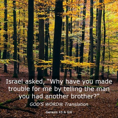 Picture 03 - Genesis 43:6 GW - Israel asked, “Why have you made trouble for me - Bible Verse Picture