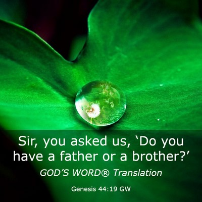 Picture 03 - Genesis 44:19 GW - Sir, you asked us, ‘Do you have a father or a - Bible Verse Picture