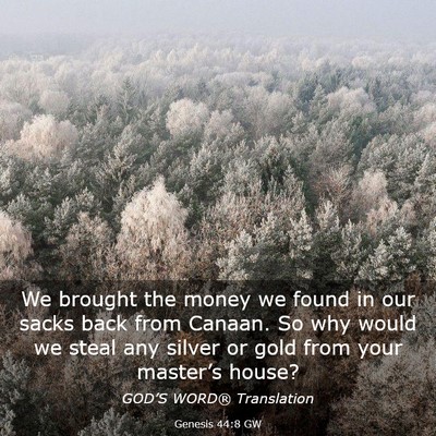 Picture 03 - Genesis 44:8 GW - We brought the money we found in our sacks back - Bible Verse Picture