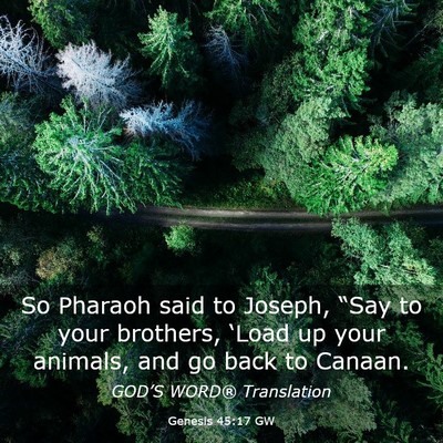 Picture 03 - Genesis 45:17 GW - So Pharaoh said to Joseph, “Say to your - Bible Verse Picture