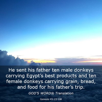 Picture 03 - Genesis 45:23 GW - He sent his father ten male donkeys carrying - Bible Verse Picture