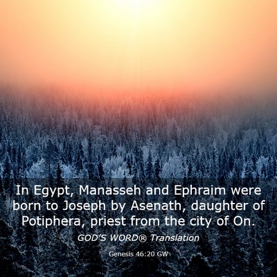Picture 03 - Genesis 46:20 GW - In Egypt, Manasseh and Ephraim were born to - Bible Verse Picture