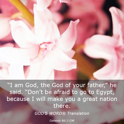 Picture 03 - Genesis 46:3 GW - “I am God, the God of your father,” he said. - Bible Verse Picture