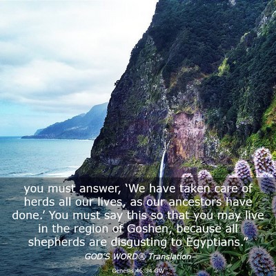 Picture 03 - Genesis 46:34 GW - you must answer, ‘We have taken care of herds - Bible Verse Picture