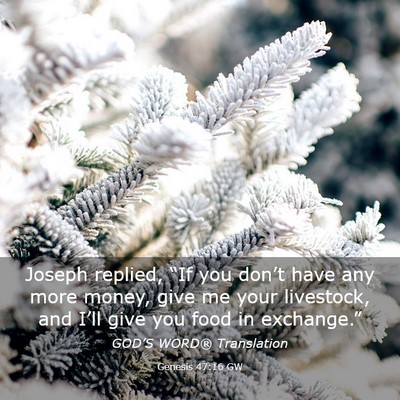 Picture 03 - Genesis 47:16 GW - Joseph replied, “If you don’t have any more - Bible Verse Picture